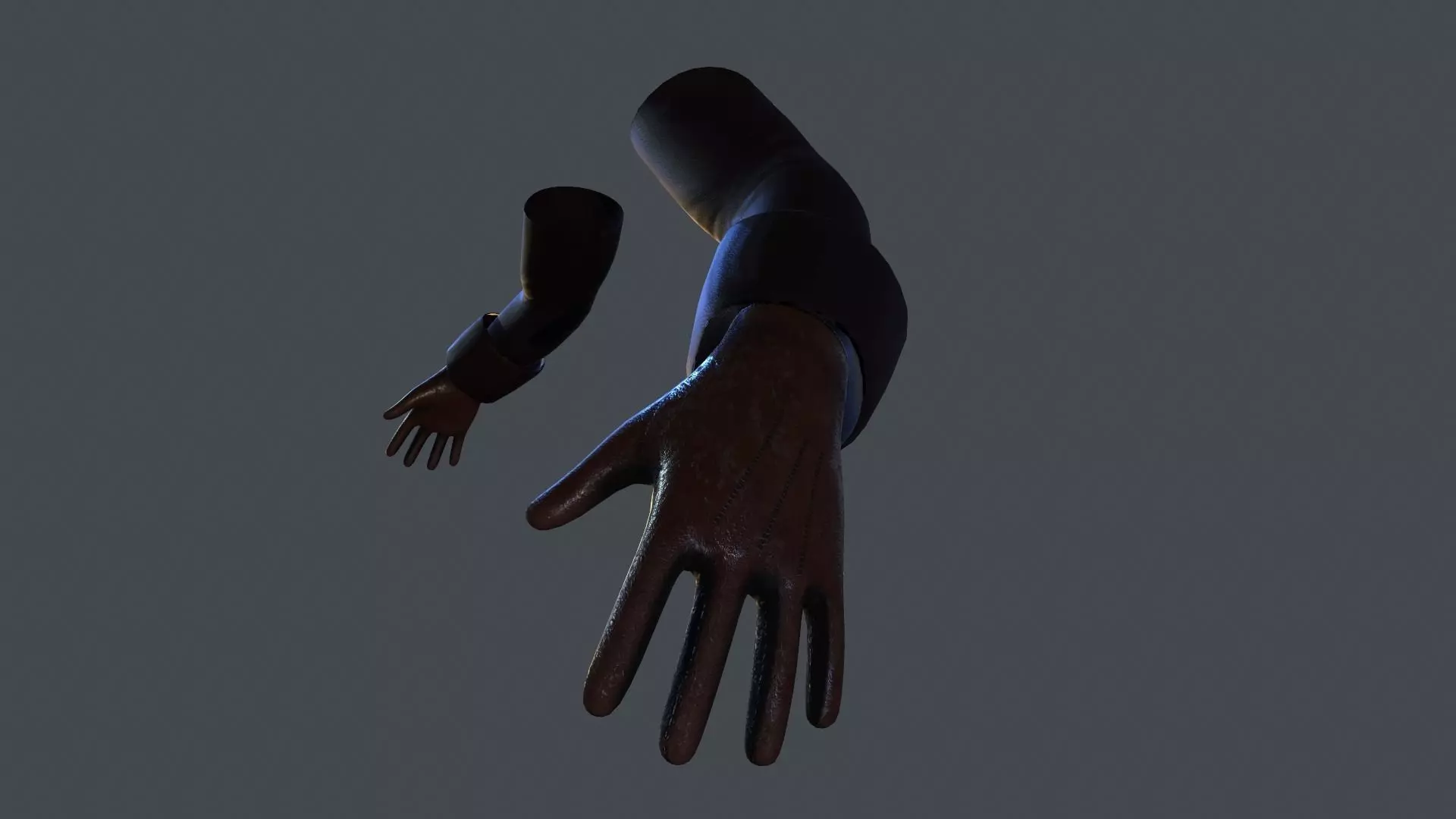 First Person Arm Low-poly 3D model_0