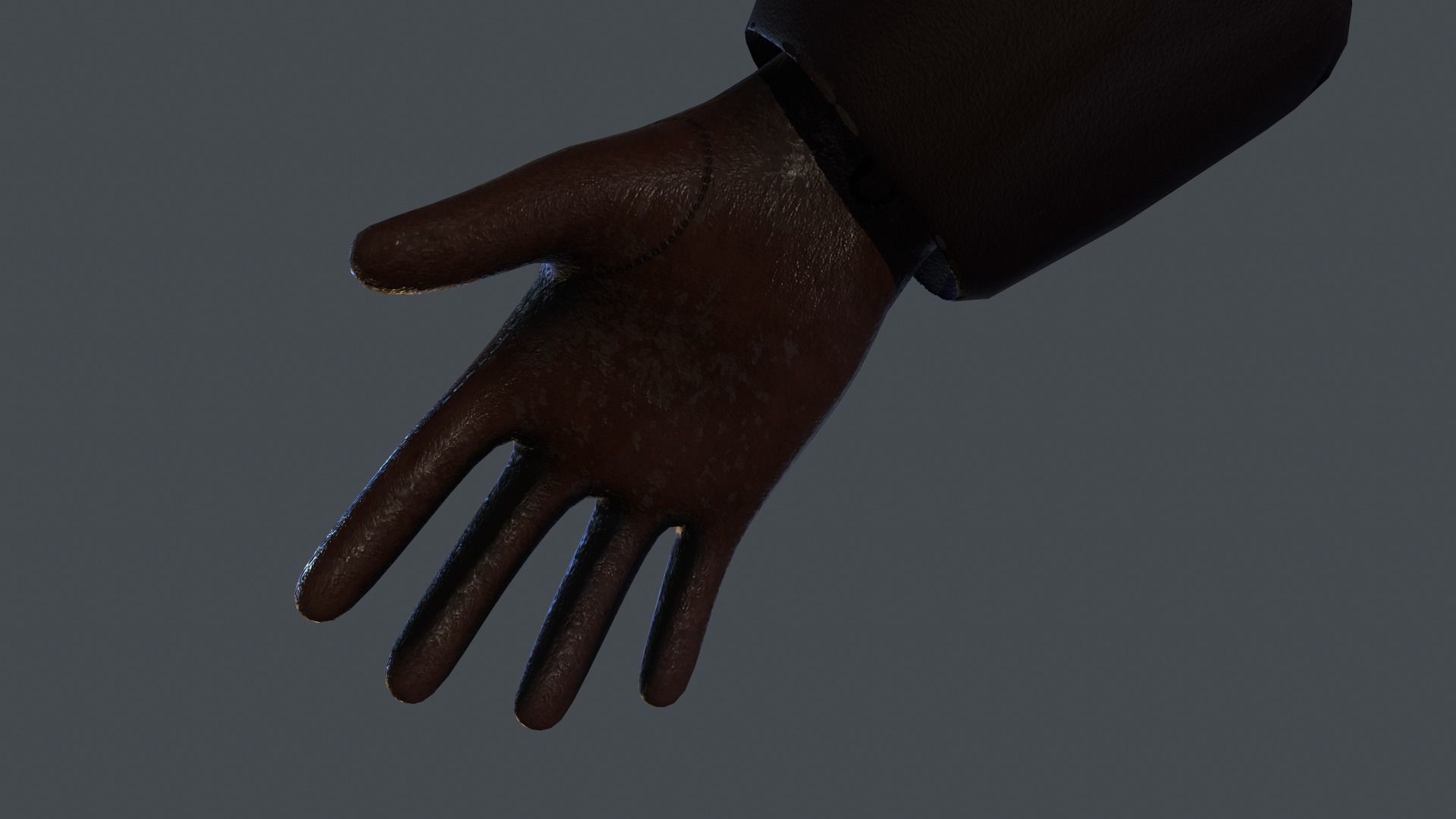 First Person Arm Low-poly 3D model_4