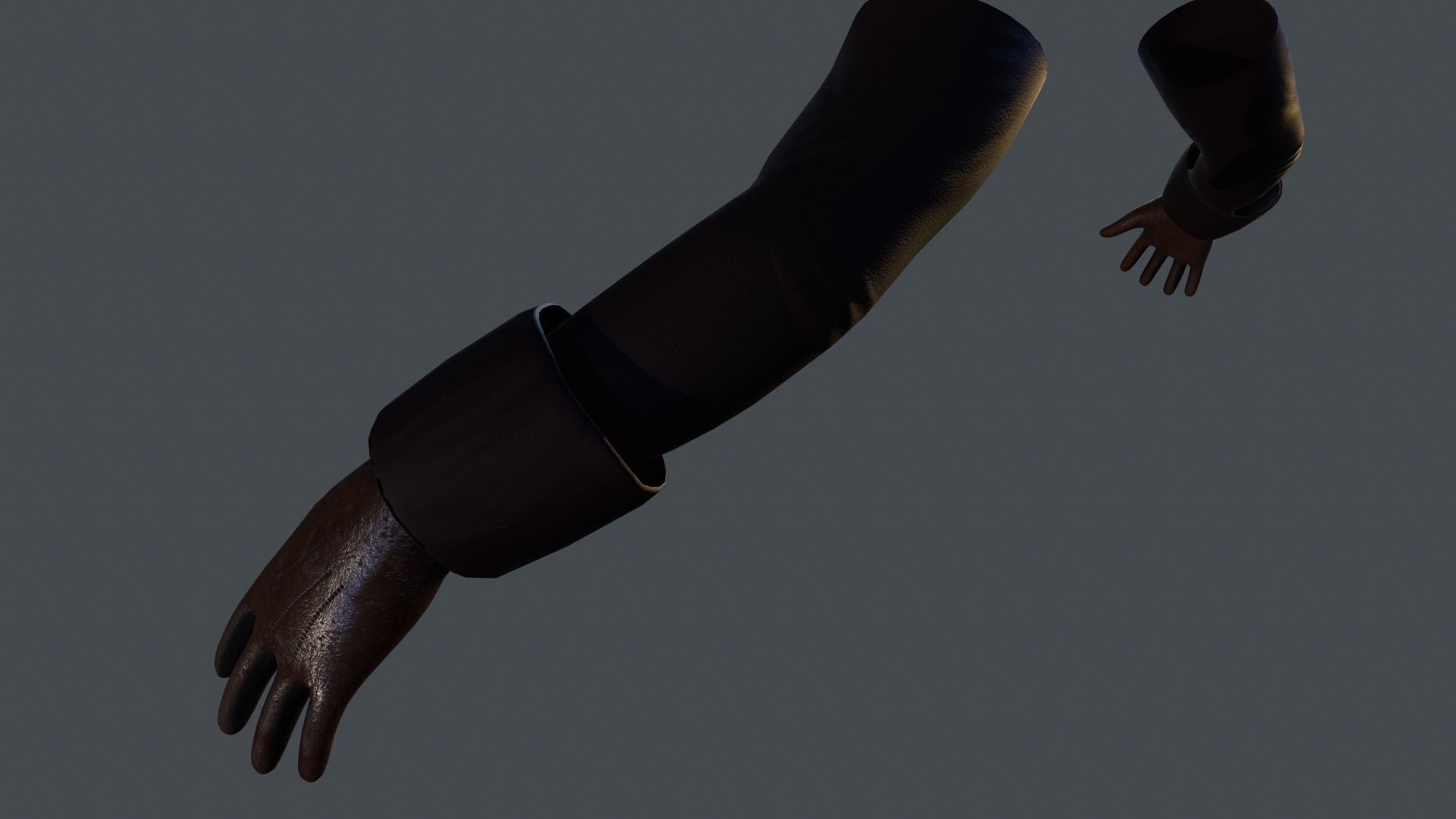 First Person Arm Low-poly 3D model_1