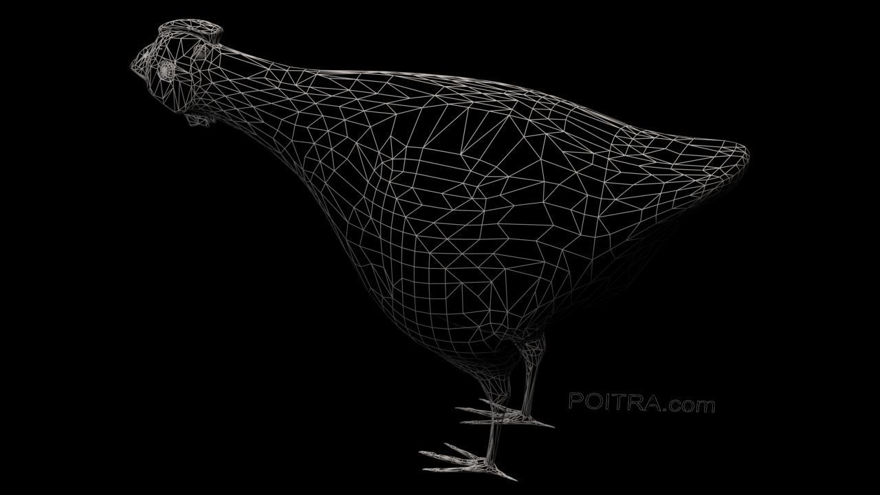 Chicken Ranch - Rooster and 9 Posed Hens - Black -  3D model_13