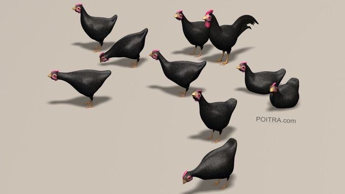Chicken Ranch - Rooster and 9 Posed Hens - Black -  3D model