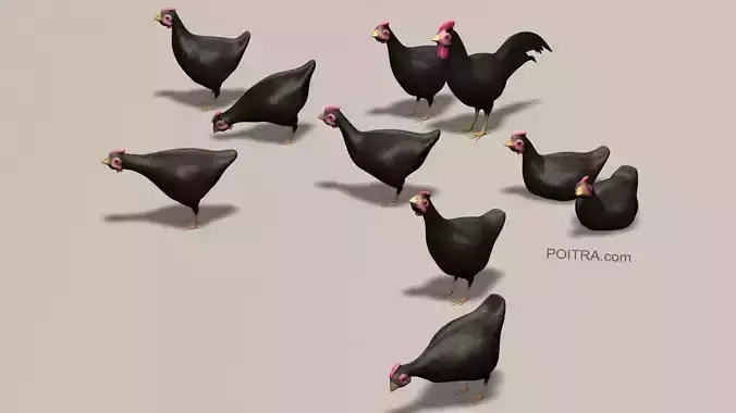 Chicken Ranch - Rooster and 9 Posed Hens - Black -  3D model