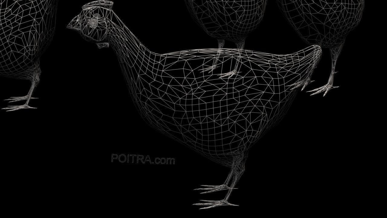 Chicken Ranch - Rooster and 9 Posed Hens - Black -  3D model_7