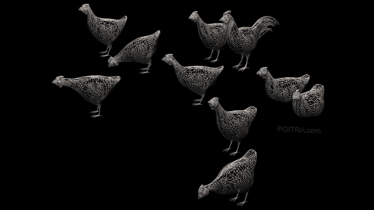 Chicken Ranch - Rooster and 9 Posed Hens - Black -  3D model_1