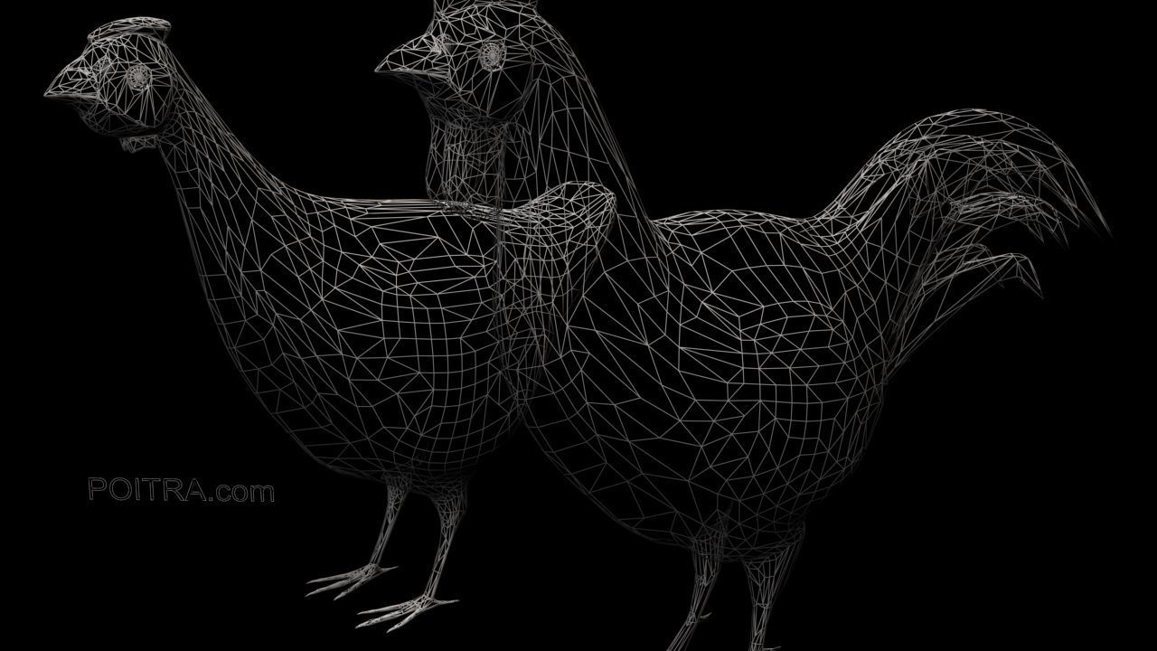 Chicken Ranch - Rooster and 9 Posed Hens - Black -  3D model_10