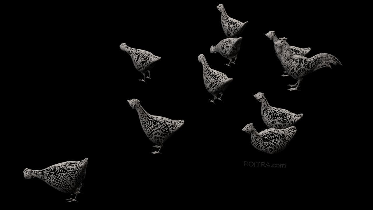 Chicken Ranch - Rooster and 9 Posed Hens - Black -  3D model_4