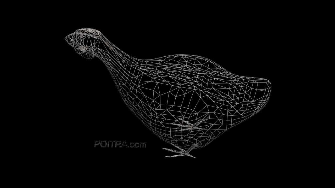 Chicken Ranch - Rooster and 9 Posed Hens - Black -  3D model_16