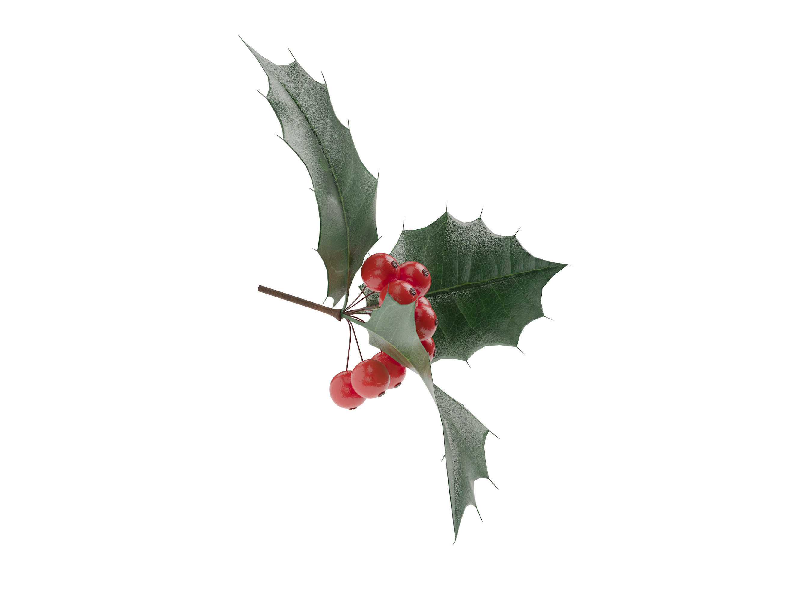 leaves and fruits 3D model_1
