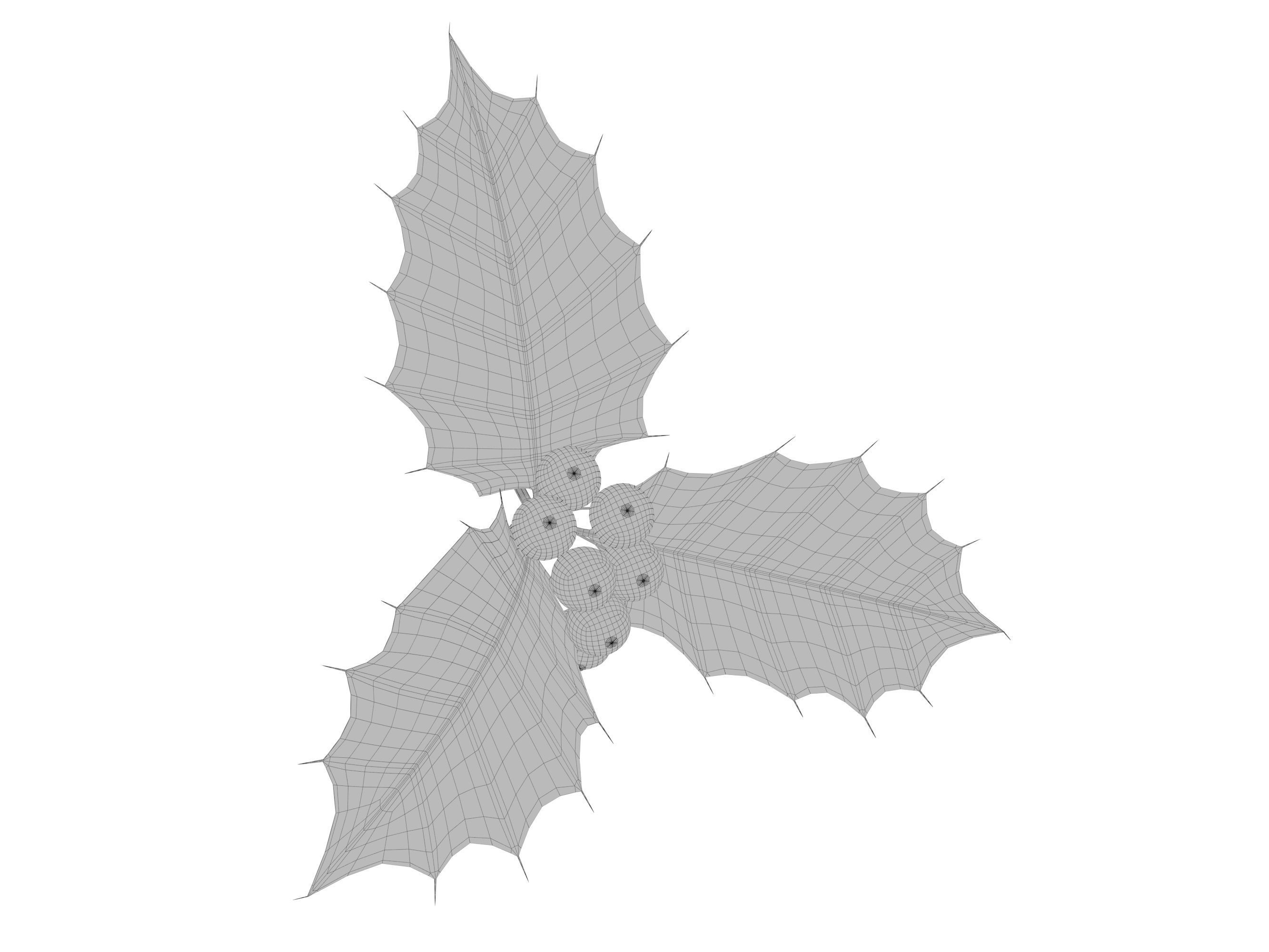 leaves and fruits 3D model_2