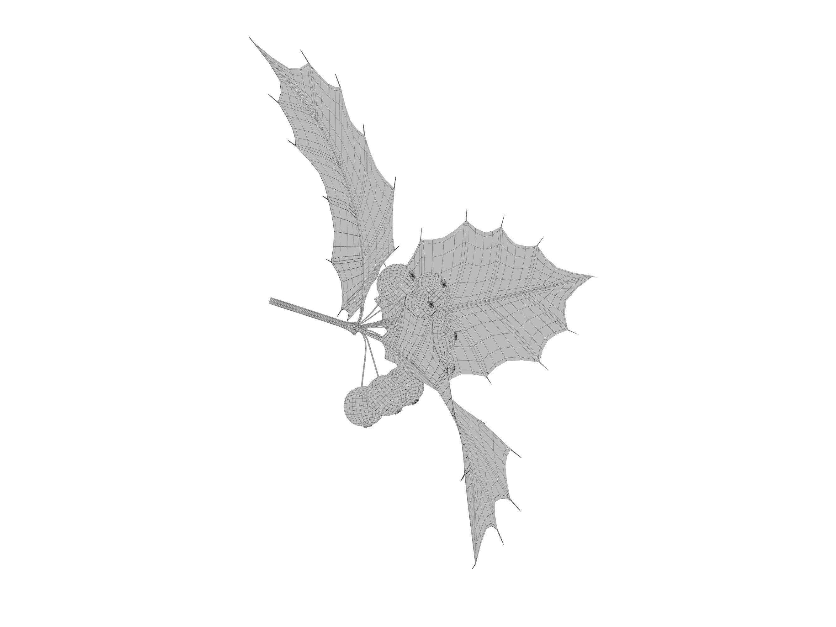 leaves and fruits 3D model_3