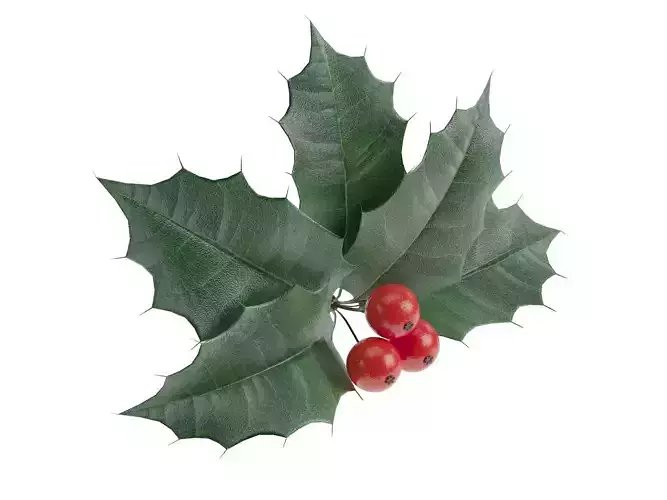 leaves and fruit 3D model