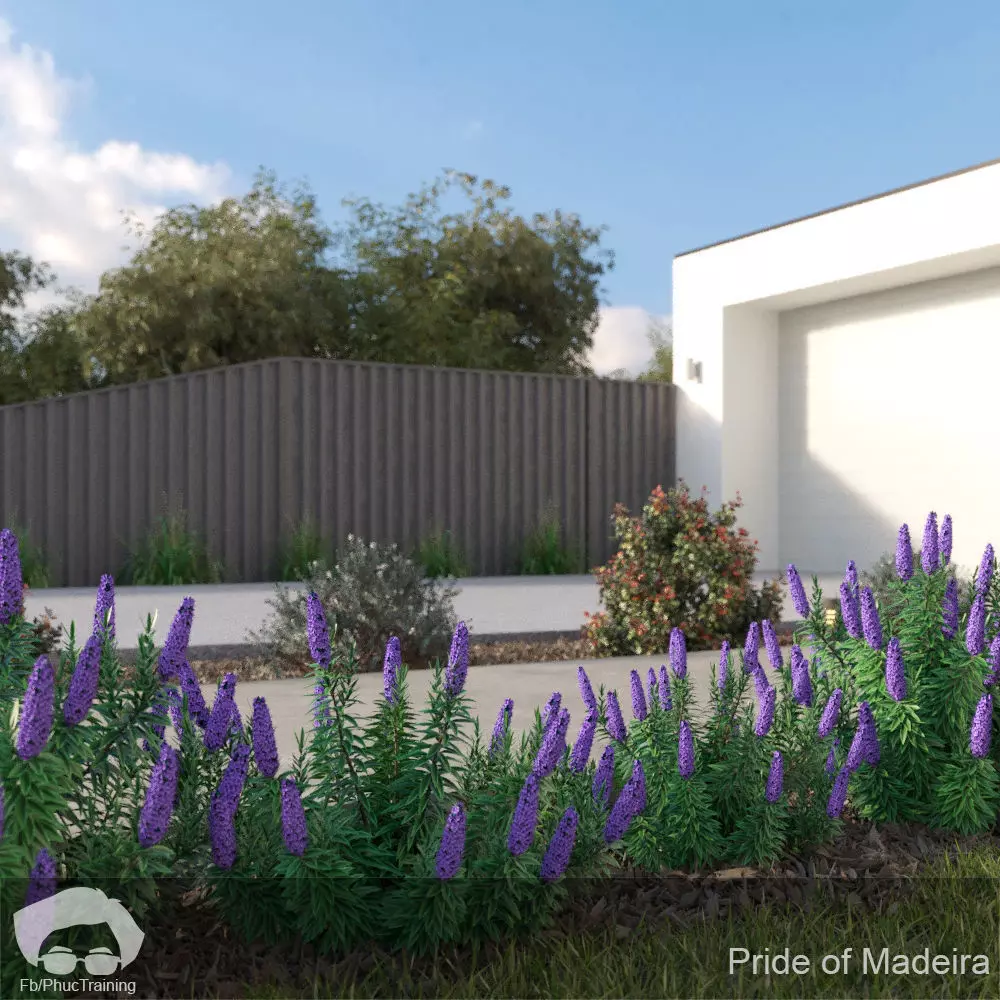 Pride of Madeira 3D model_0