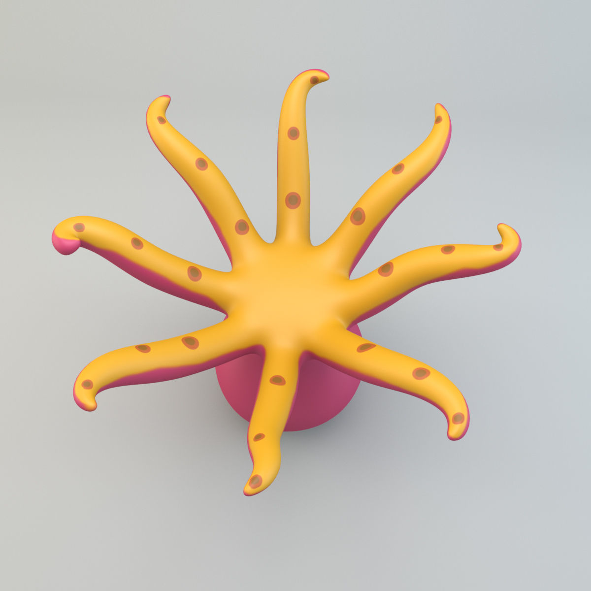 Cartoon Octopus Low-poly 3D model_4