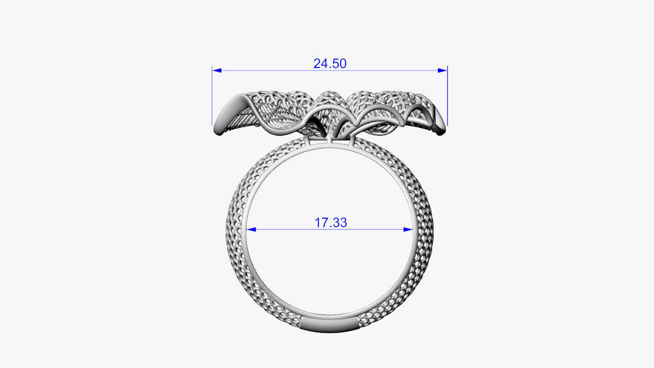 Stylized ring 3D print model_13