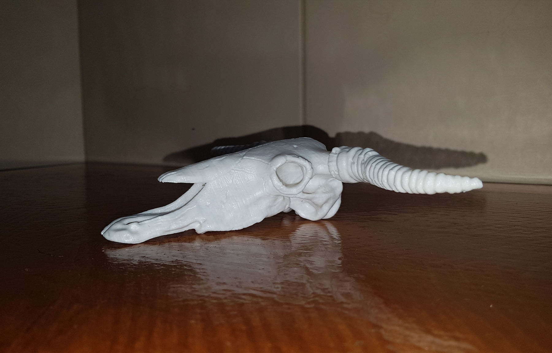 Cow Scull 3D print model_10