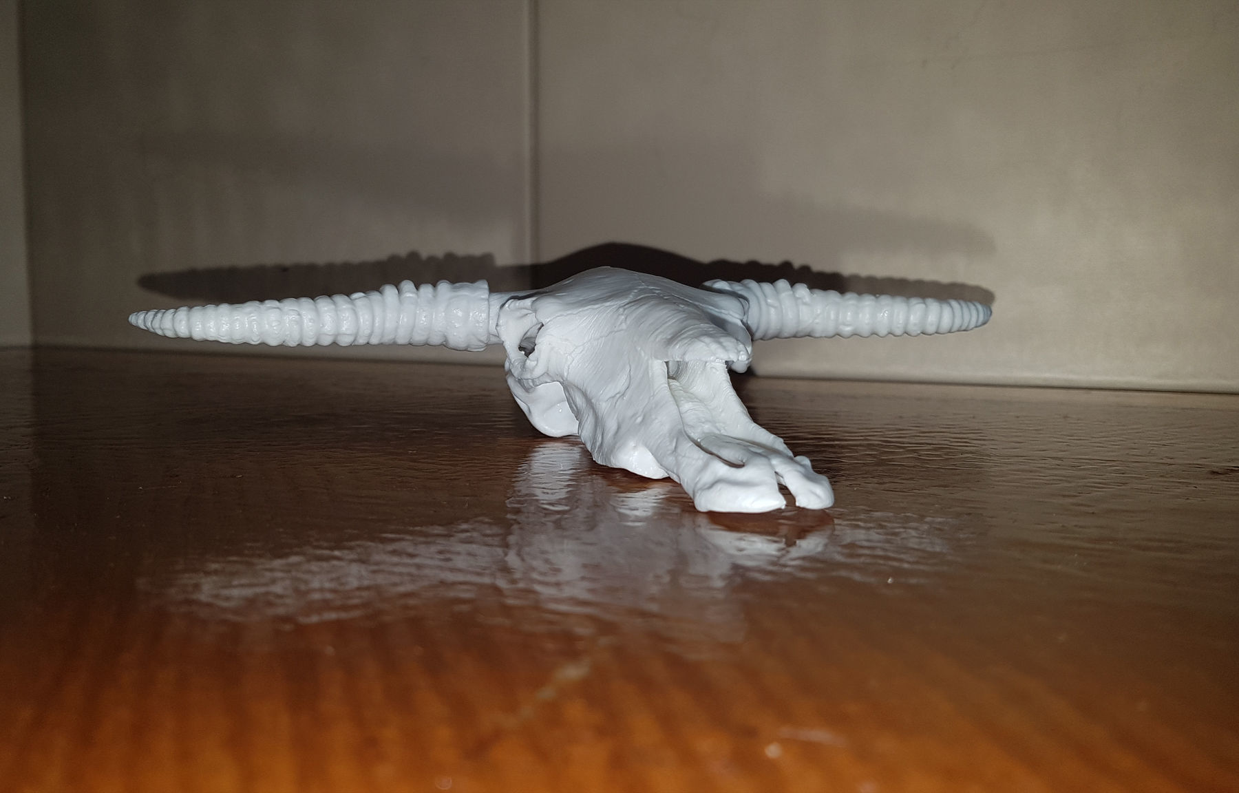 Cow Scull 3D print model_12