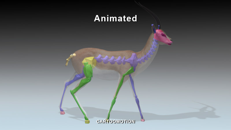 GAZELLE two animated antelopes Low-poly 3D model_2