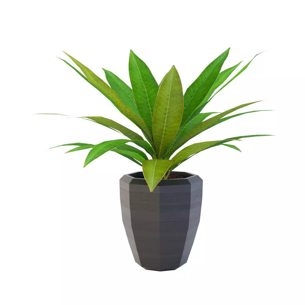 Artificial Plant Free 3D model