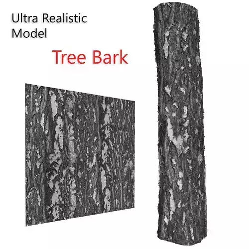 Ultra realistic Tree Bark Scan 16k HD Low-poly 3D model