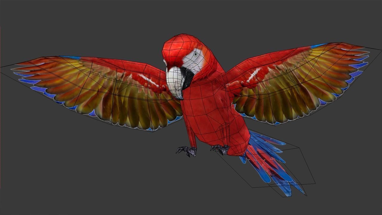 Scarlet Macaw - Animated Low-poly 3D model_10