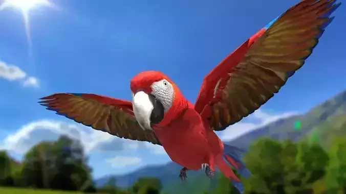 Scarlet Macaw - Animated Low-poly 3D model