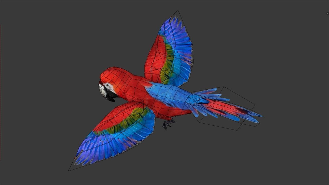 Scarlet Macaw - Animated Low-poly 3D model_9