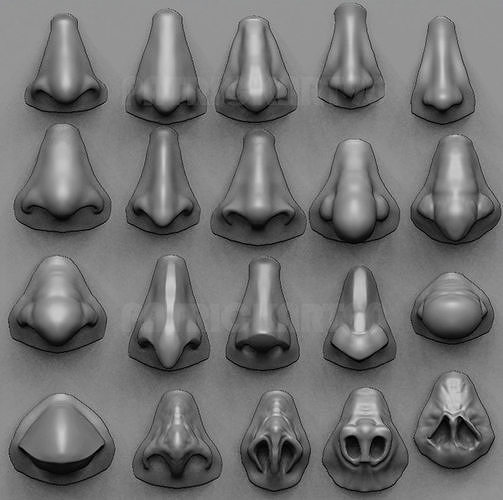 20 Noses with high poly and low poly 3D model