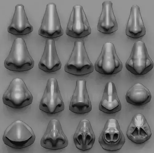 20 Noses with high poly and low poly 3D model