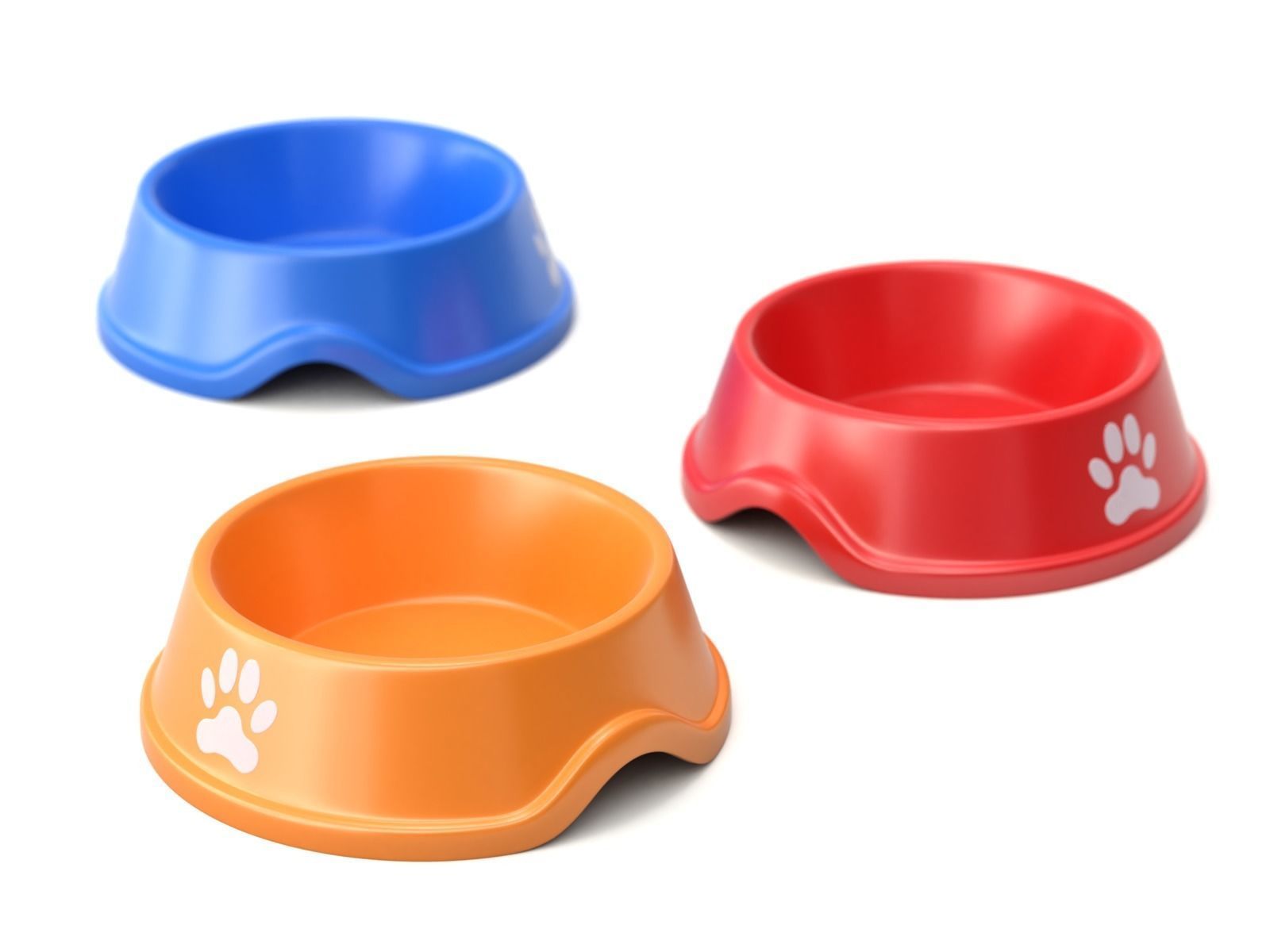 Metal and Plastic Dog Bowl 3D model_6