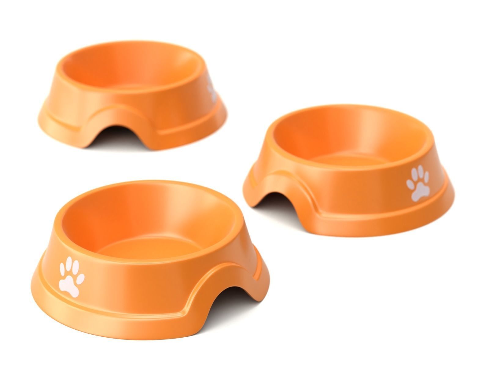 Metal and Plastic Dog Bowl 3D model_7