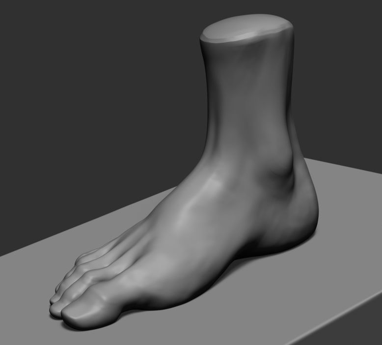 Foot v2 3D model_5