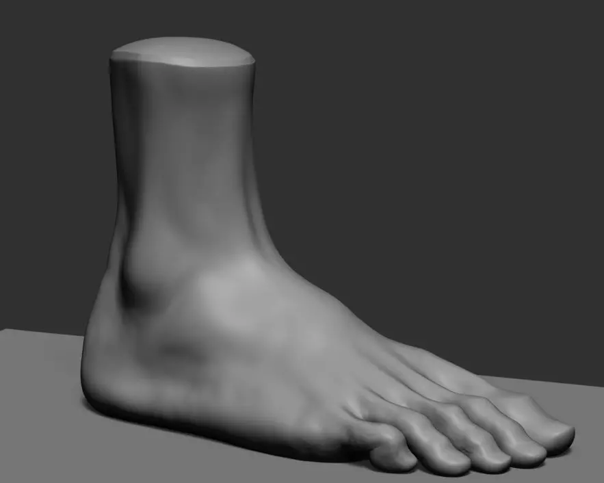 Foot v2 3D model_0