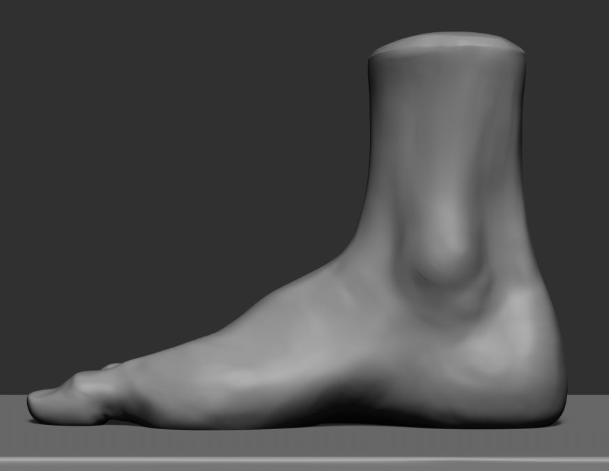 Foot v2 3D model_3