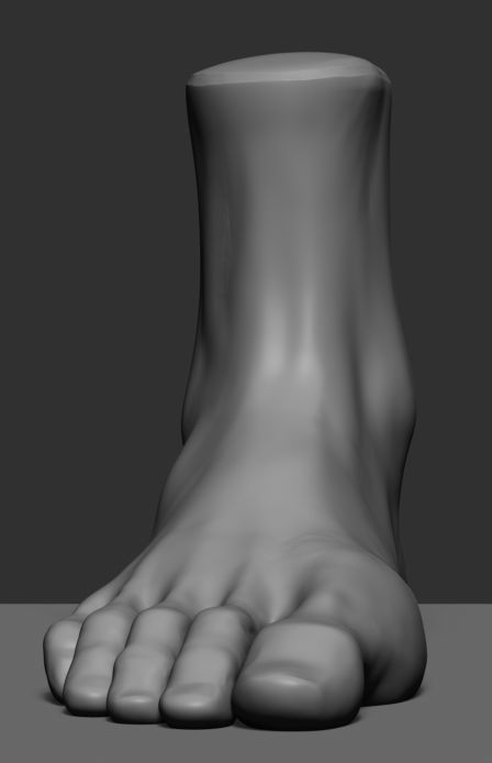 Foot v2 3D model_2