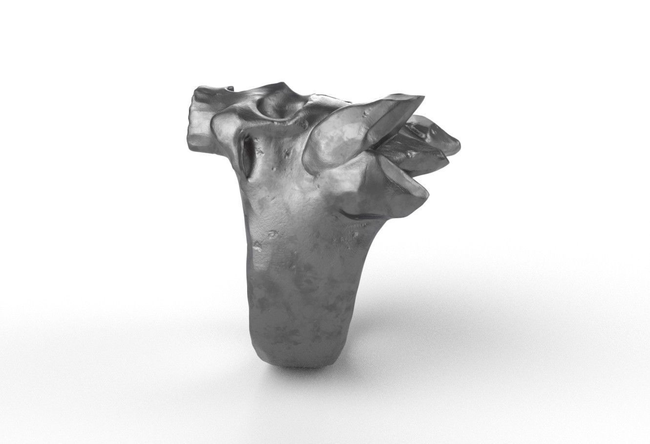 MountainSkull Ring 3D print model_4
