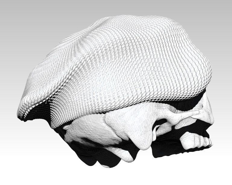 Realistic Angry man skull ski snowboard hat 3d printable  3D print model_5