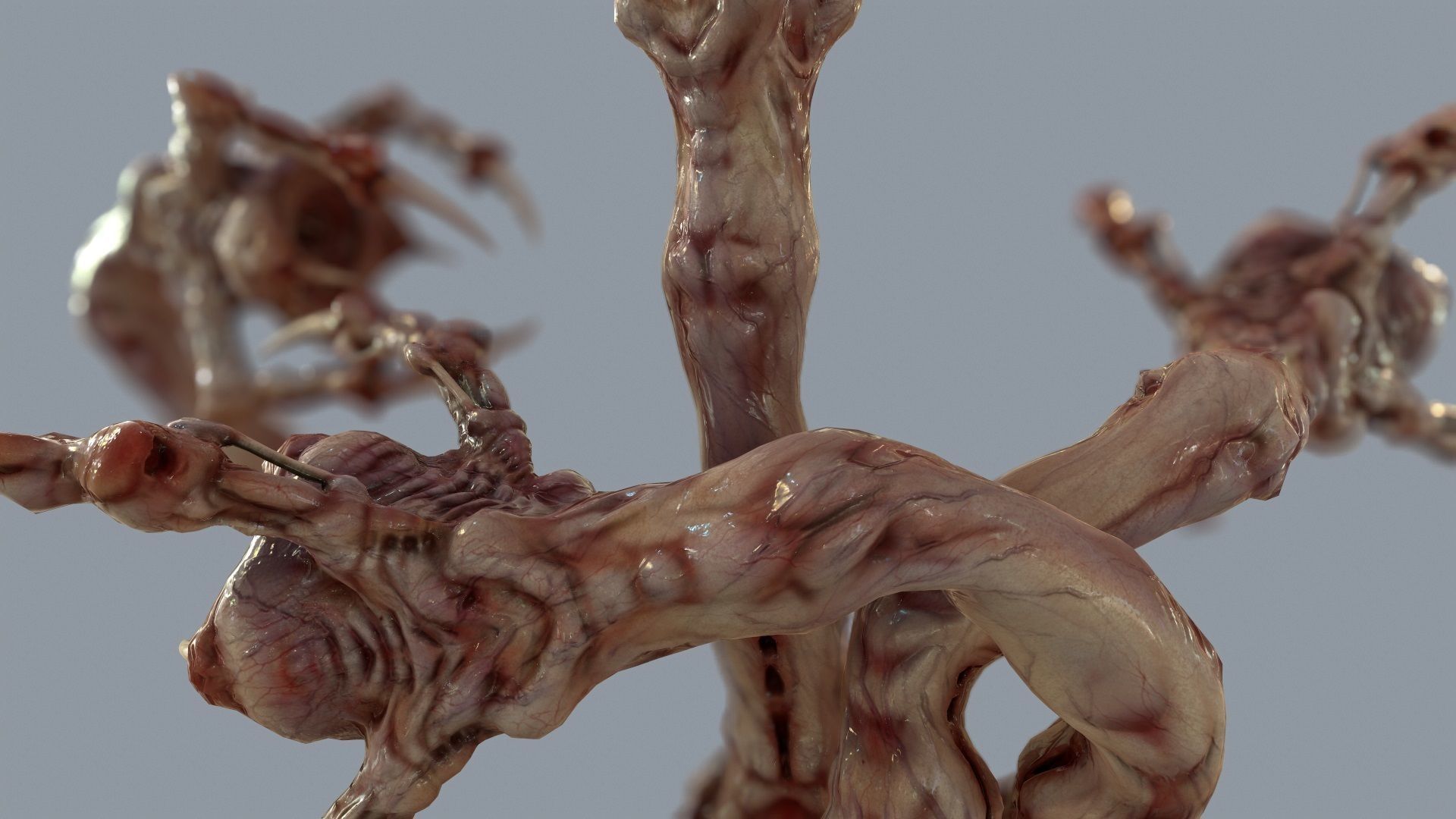 Venous Clawed Worm Low-poly 3D model_2