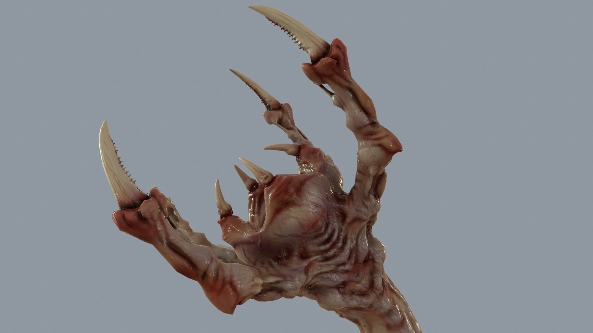 Venous Clawed Worm Low-poly 3D model_6