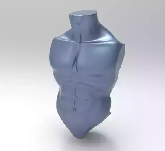 HumanTorso BaseMesh