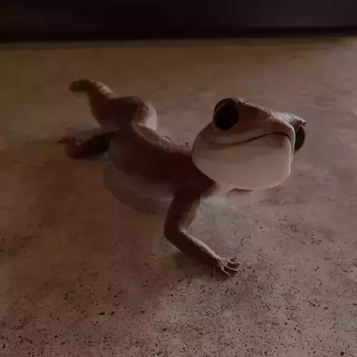 Gecko silver Low-poly 3D model