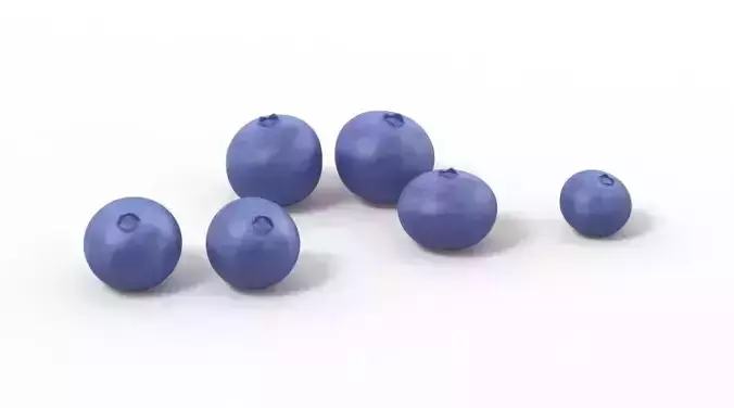 Blueberry Blueberries 3D model