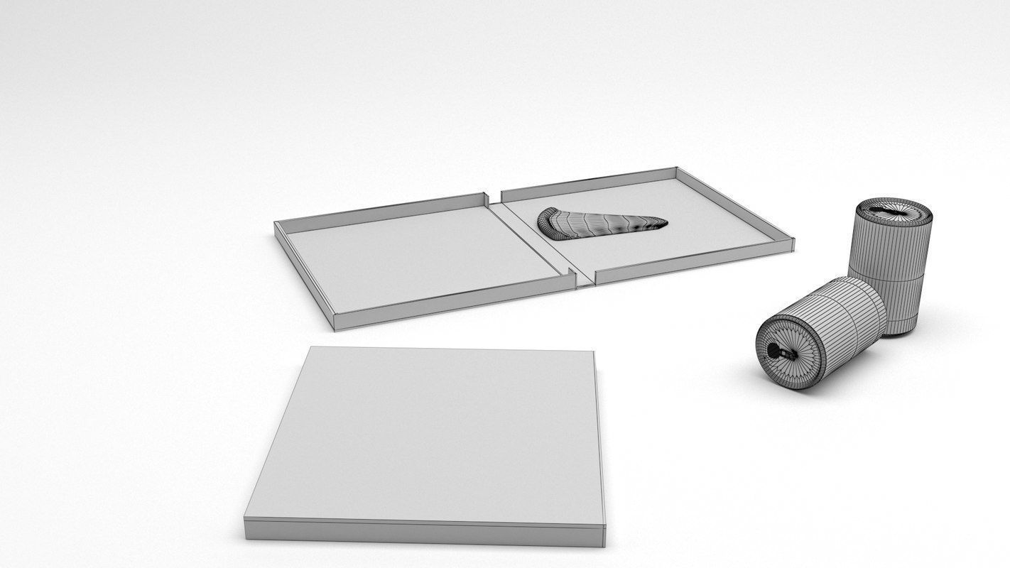 Pizza box and roll of paper 3D model_2