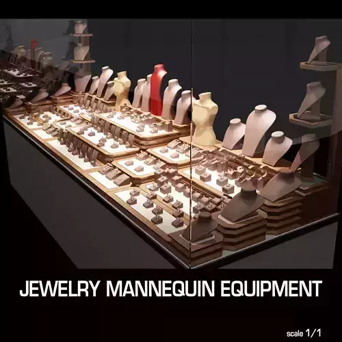 Jewelry Mannequin Equipment