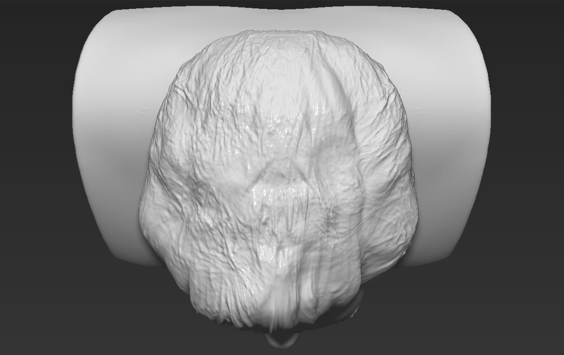 Edward Cullen Twilight Robert Pattinson bust 3D printing ready 3D print model_12