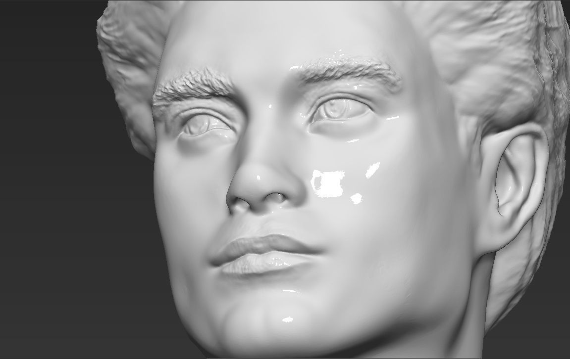 Edward Cullen Twilight Pattinson bust full color 3D printing 3D print model_43