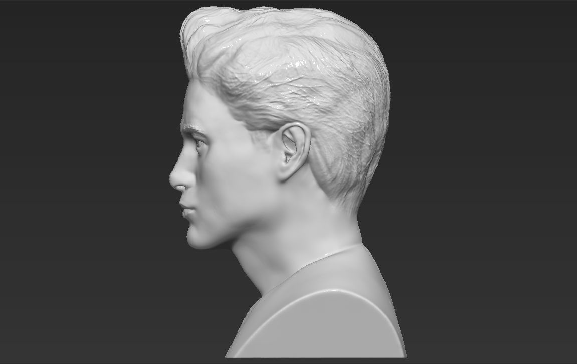 Edward Cullen Twilight Pattinson bust full color 3D printing 3D print model_47