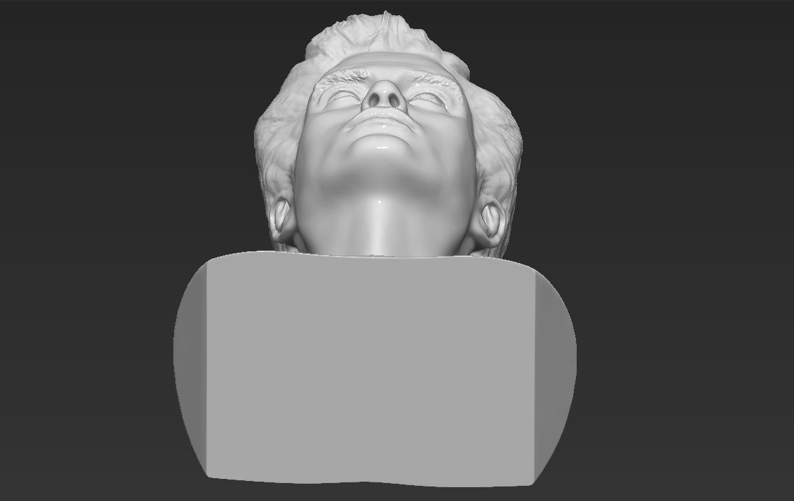 Edward Cullen Twilight Pattinson bust full color 3D printing 3D print model_39