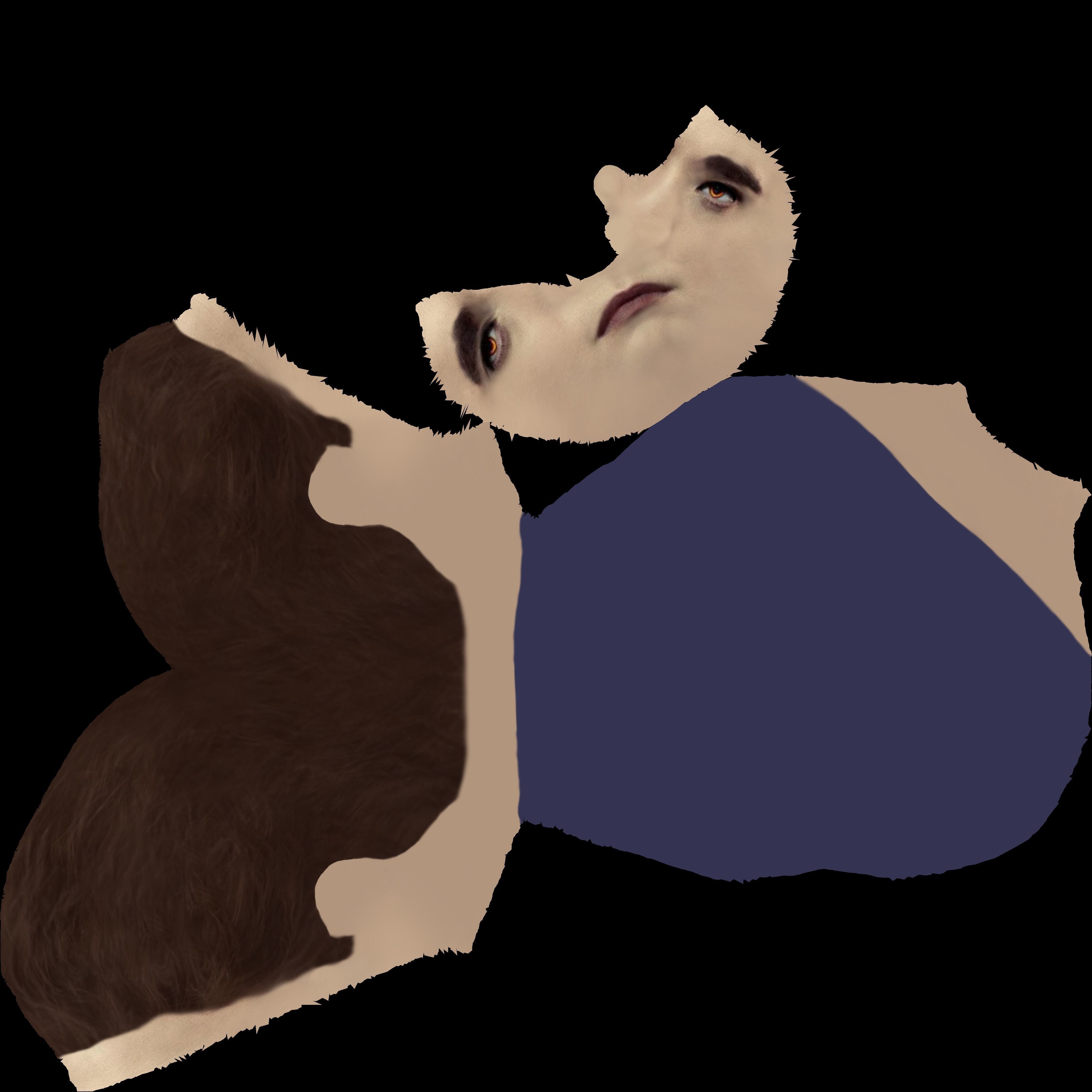 Edward Cullen Twilight Pattinson bust full color 3D printing 3D print model_56