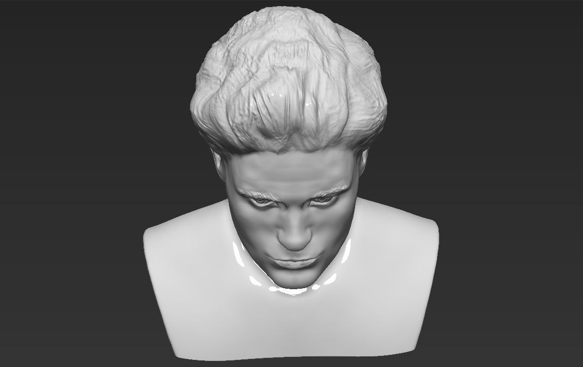 Edward Cullen Twilight Pattinson bust full color 3D printing 3D print model_34