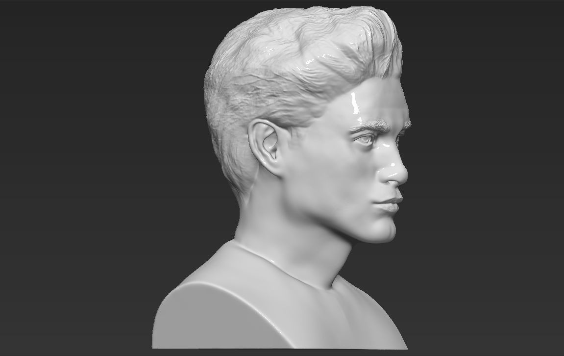 Edward Cullen Twilight Pattinson bust full color 3D printing 3D print model_28